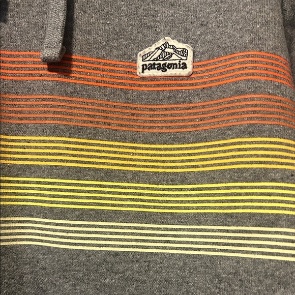 Patagonia Gray Hoodie with Multicolor Stripes - Picture 3 of 5